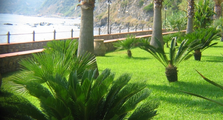 Villaggio Stella del Sud & Resort - Palinuro, Giardino
