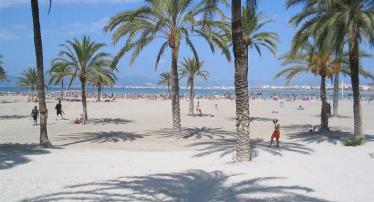 Beach Arenal - Maiorca