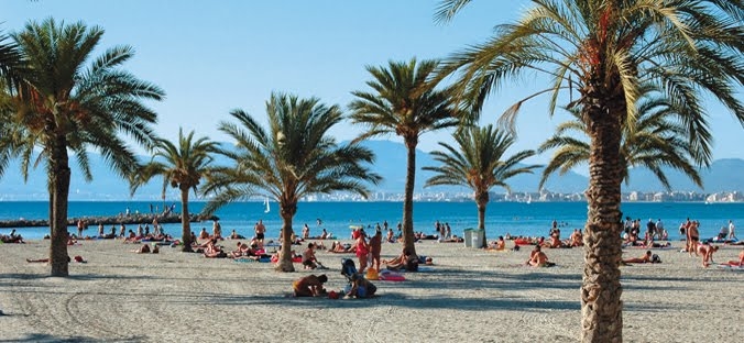 Beach Arenal - Maiorca