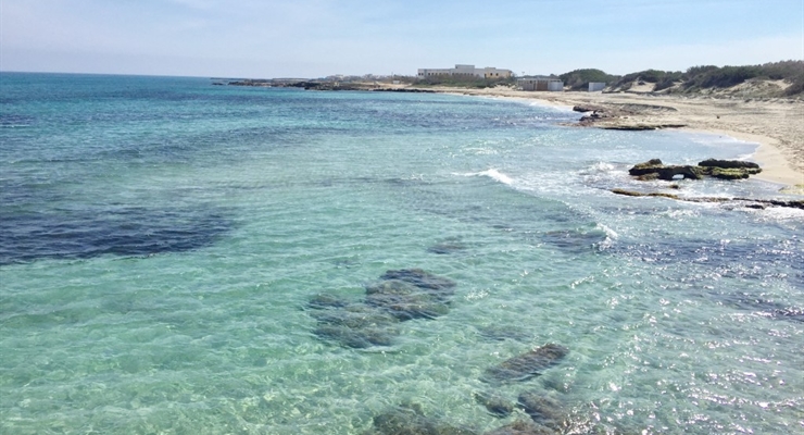 Spiagge adiacente