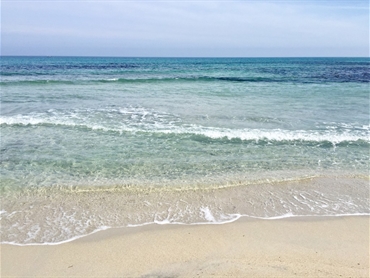 Spiagge adiacente