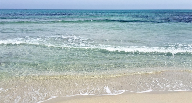 Spiagge adiacente