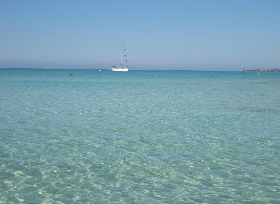 Beach Arenal - Maiorca